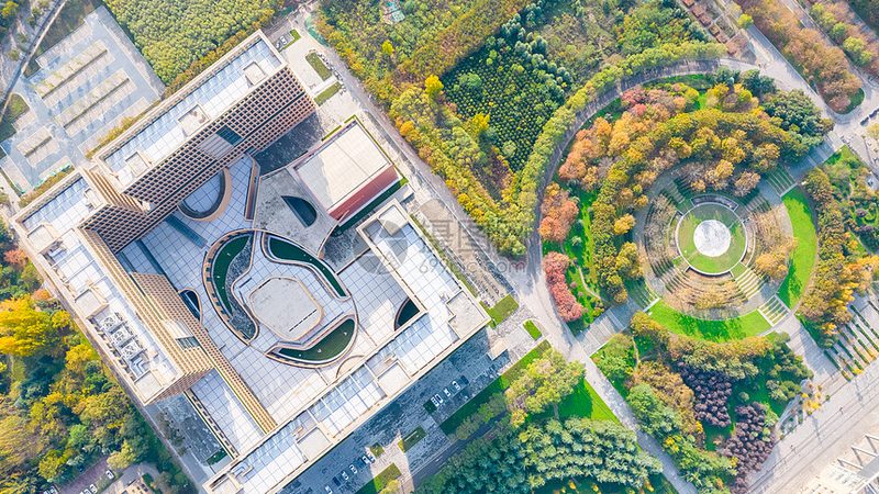 固态继电器与电磁继电器：可靠性对比解析