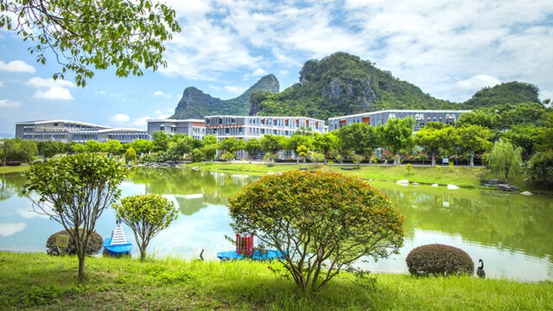成都电子科技公司靠谱之选：揭秘行业认证与参数真相