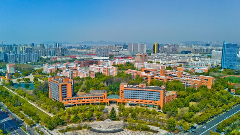 成都电子代工：探寻优缺点，把握行业脉搏