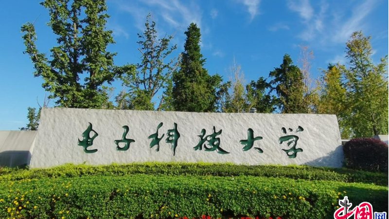 继电器触点烧蚀：原因分析及解决策略**